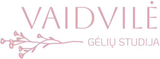 vaidvile.lt