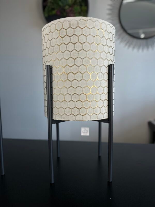 Stovas vazoninei gėlei