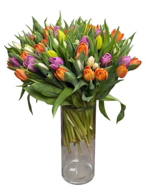 Tulpės miksas