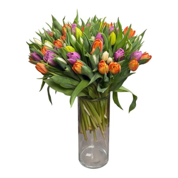 Tulpės miksas
